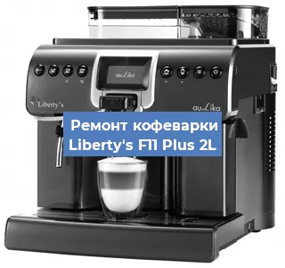 Декальцинация   кофемашины Liberty's F11 Plus 2L в Санкт-Петербурге